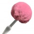 Crystal Bloom Anal Plug (Pink)