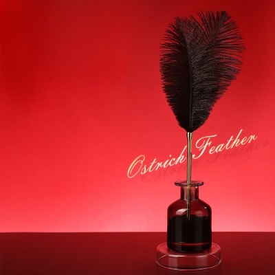 MizzZee - Ostrich Feather Teaser Wand SM MizzZee - Ostrich Feather Teaser Wand SM
