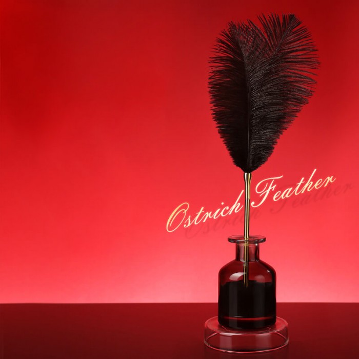 MizzZee - Ostrich Feather Teaser Wand SM MizzZee - Ostrich Feather Teaser Wand SM