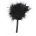 MizzZee - Tease Feather Wand SM
