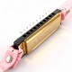 MizzZee - Harmonica Mouth Gag SM MizzZee - Harmonica Mouth Gag SM
