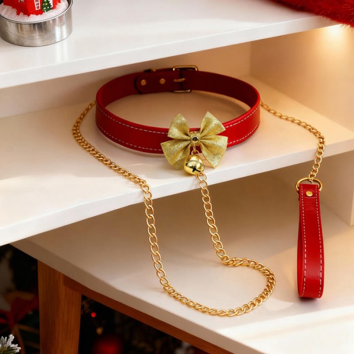 MizzZee - Christmas Charm Detachable Collar With Leash