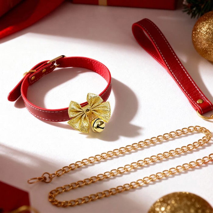 MizzZee - Christmas Charm Detachable Collar With Leash