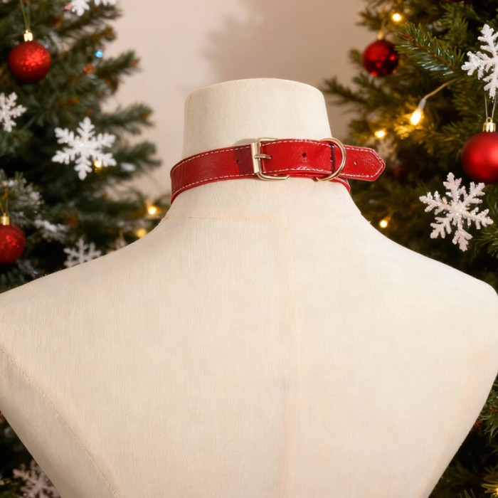 MizzZee - Christmas Charm Detachable Collar With Leash