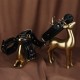MIZZZEE - Restraint Backhand Collars Mouth Gag Ball Bondage Set (Black) MIZZZEE - Restraint Backhand Collars Mouth Gag Ball Bondage Set (Black)