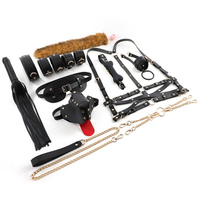 MizzZee - Male Pet Diary SM Roleplay Set (12 Pieces Set)