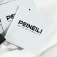 PEINEILI - Male Delay Wet Tissue (1ML/Piece) PEINEILI - Male Delay Wet Tissue (1ML/Piece)
