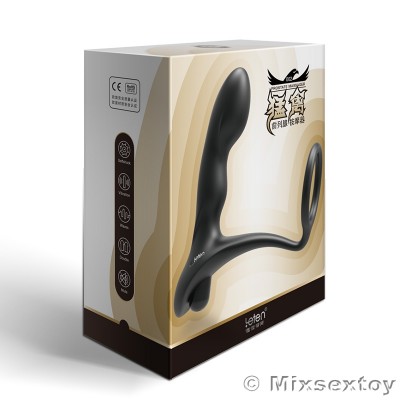 HK LETEN Male P-Spot Vibrating Prostate Massager (Battery)