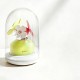 Ankni - Spring Flower fafa Suction Massager (Smart APP Model - Chargeable) Ankni - Spring Flower fafa Suction Massager (Smart APP Model - Chargeable)